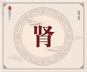 肾